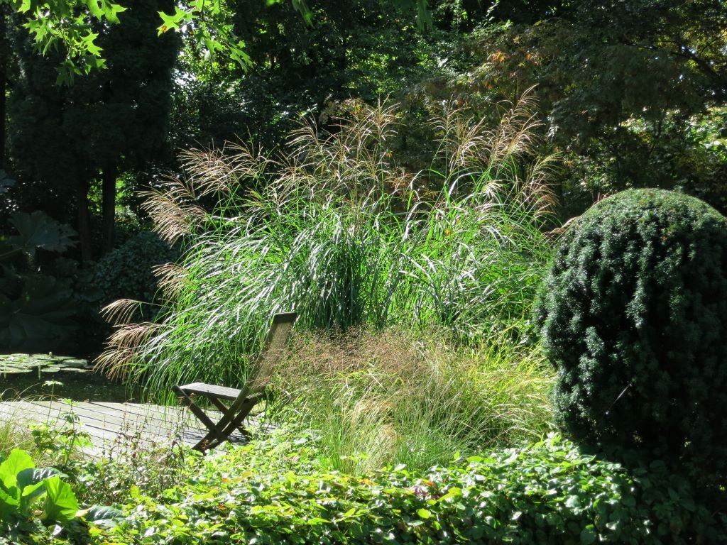 Gräserspiel im "Tuin an het Boord"