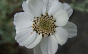 Foto vom 3.5. (© Spender 55)