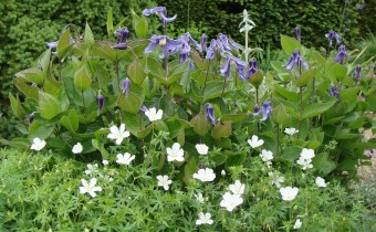 Foto vom 2. Juni 