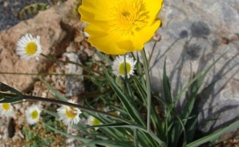 Foto vom 25. April (© Spender 55)