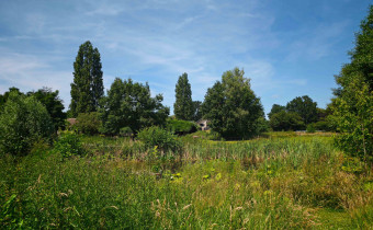 Foto: (c) S. Deininger