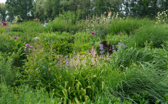 Foto (c) K.Zimmermann