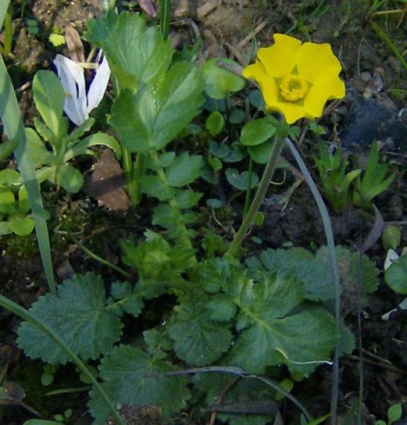 Foto vom 18. April (© Spender 240)