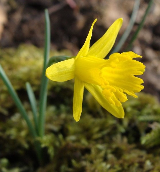 Foto vom 17. Februar (© Spender 55)