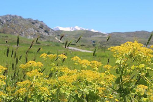 Foto vom 26.4. am Naturstandort Kreta (© Spender 55)