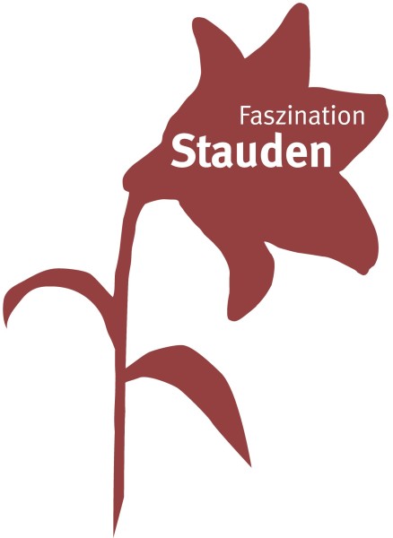 kein Bild vorhanden