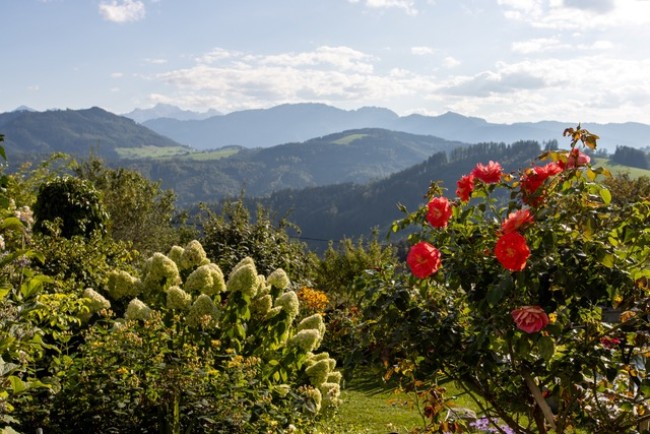 Garten Cilli Weiermair