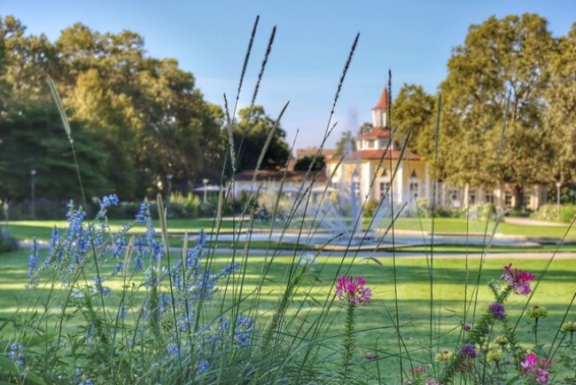 Ebertpark