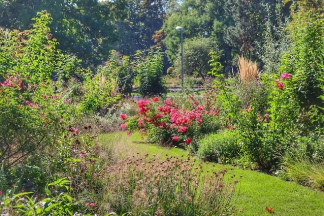 Ebertpark
