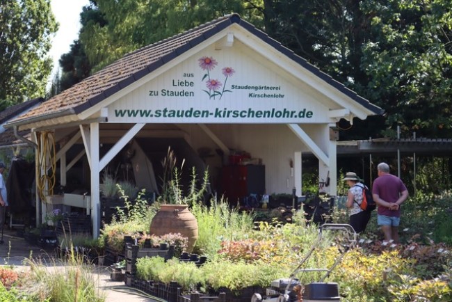 Kirschenlohr