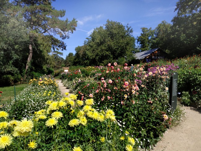 Parc Floral