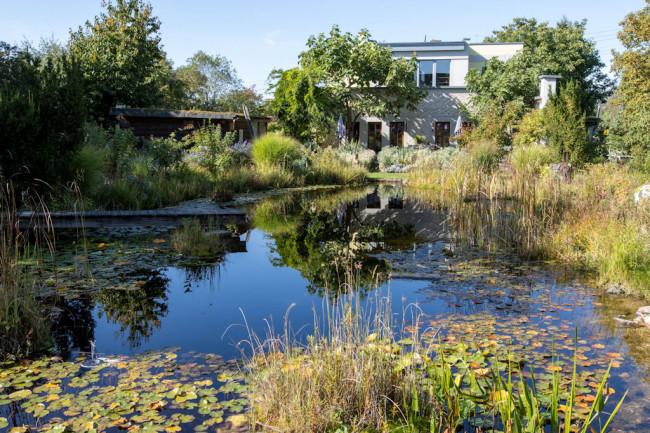 Schwimmteich Schuhmann