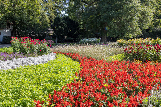 Clara-Zetkin-Park