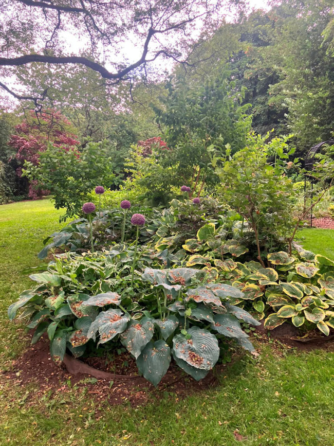 Garten Pohl-Lütcke