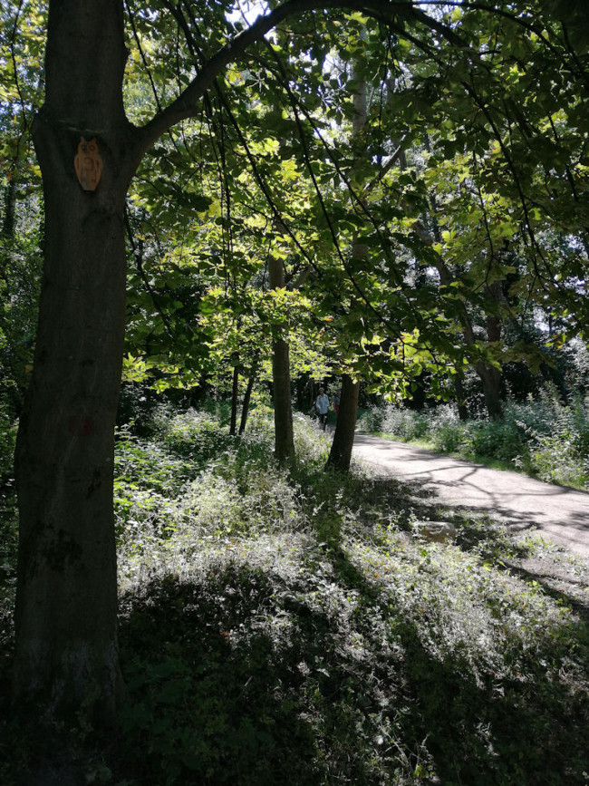 NSG Boberger Niederung