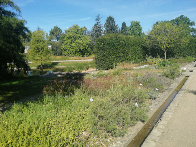 Wüstengarten