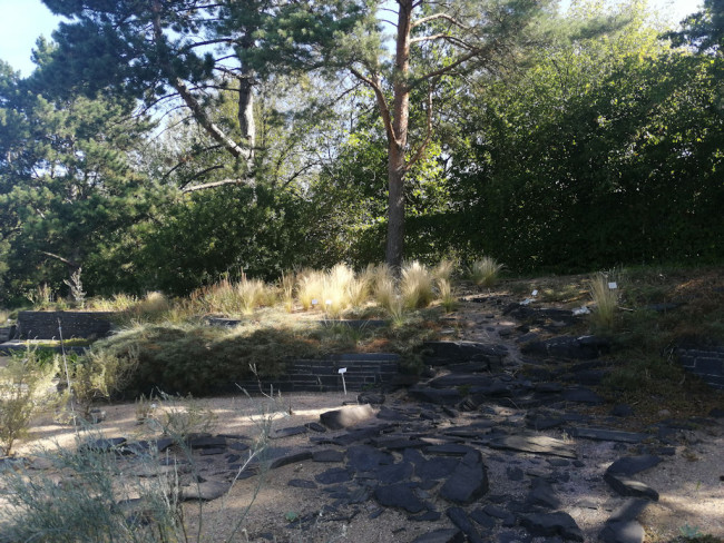 Wüstengarten
