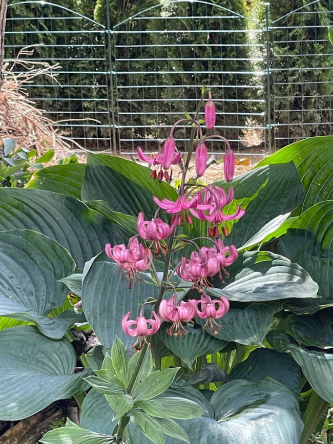 Garten Kramer