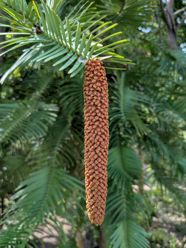 Botanischer Garten Erlangen