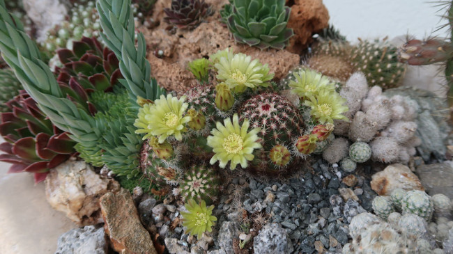 Garten Rothmeier