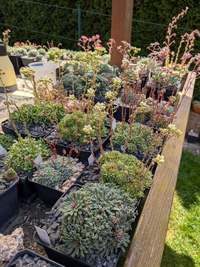 Garten Rothmeier
