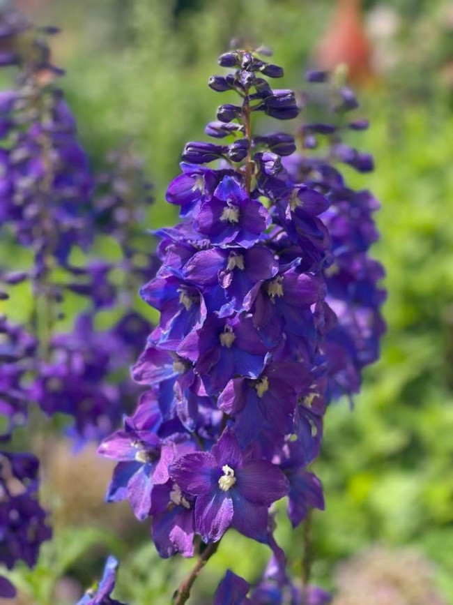 Garten Kramer