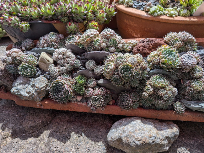Garten Rothmeier