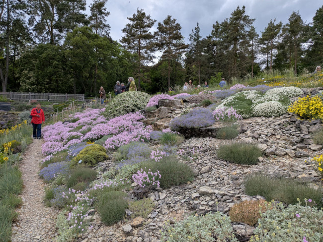 Botanischer Garten Würzburg