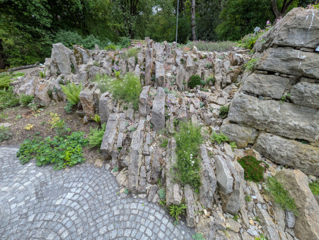 Botanischer Garten Würzburg