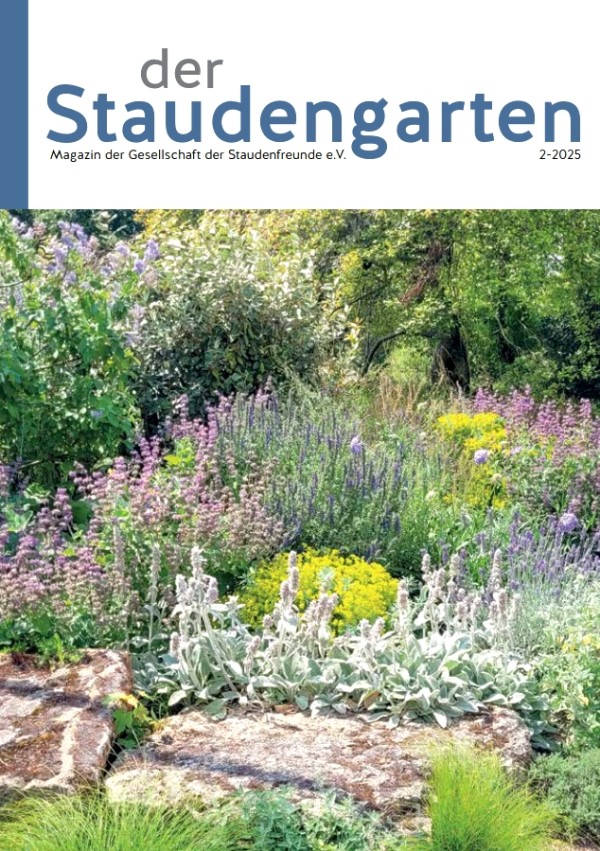 Staudengarten 2025-2 -Titel