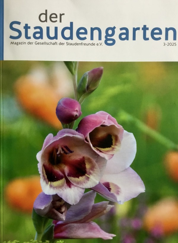 Staudengarten 3-2025
