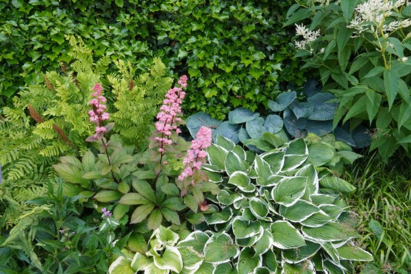 "Klützer Blumenkate"