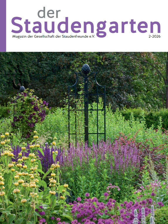 Titelbild Staudengarten 2-2026