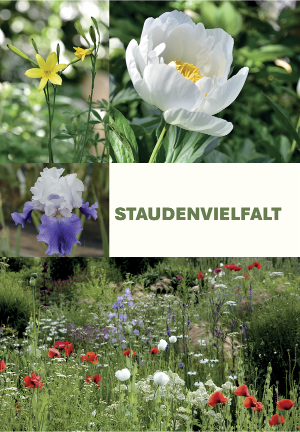 Titelbild Staudenvielfalt