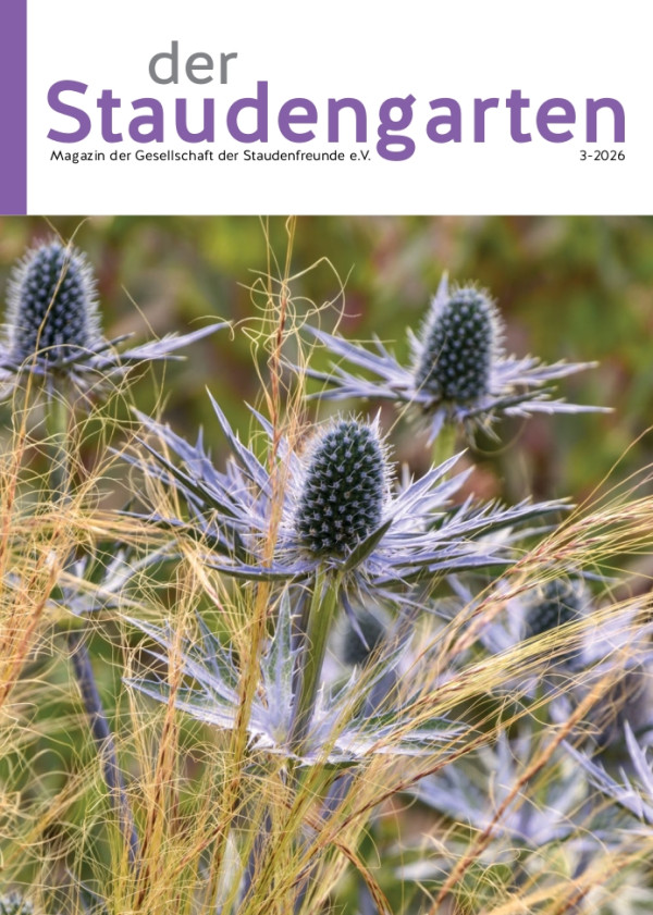 Titel Staudengarten 3-2026