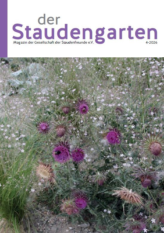 Staudengarten 2026/4