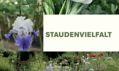 Titelbild Staudenvielfalt